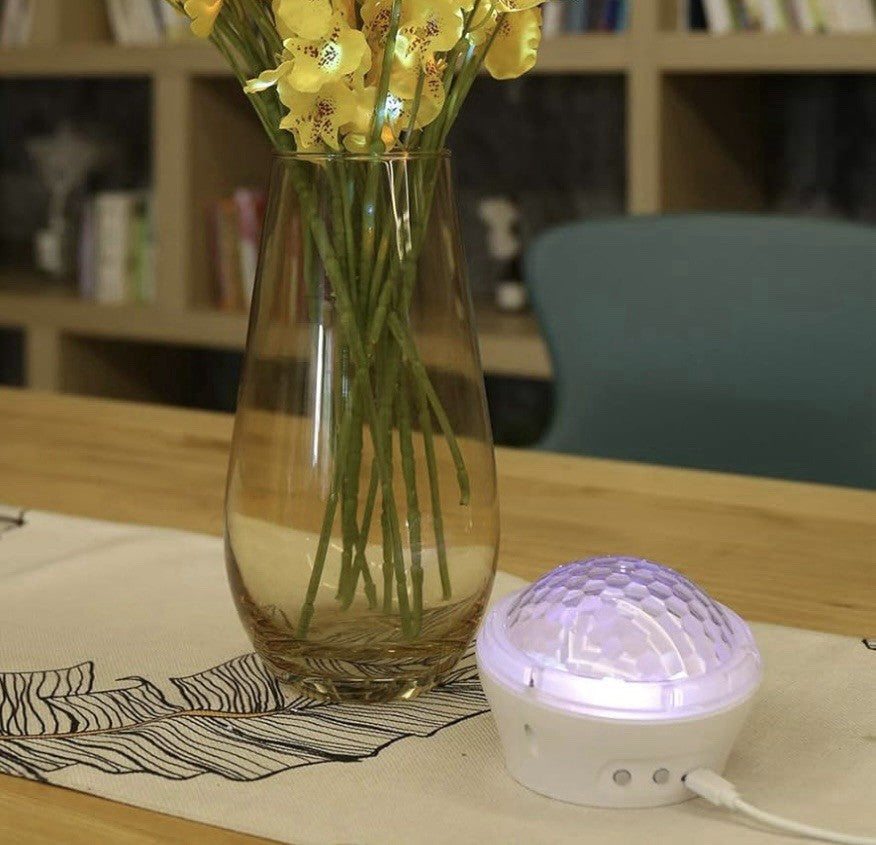Sternenprojektor-Lampe, 4 Modi Raumdekorations-Nachtbeleuchtung, LED- NEU